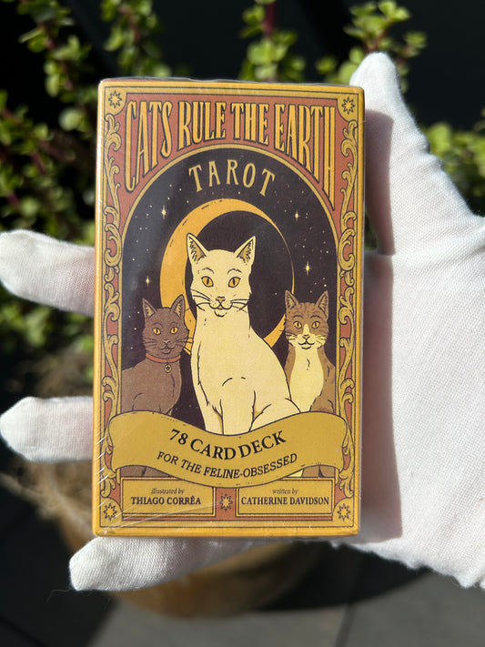 Cats Rule The Earth Tarot Deck - 78 cards box 10.4x6.2x2.6cm